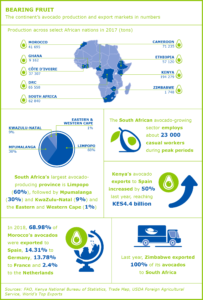 infographic - African Insider