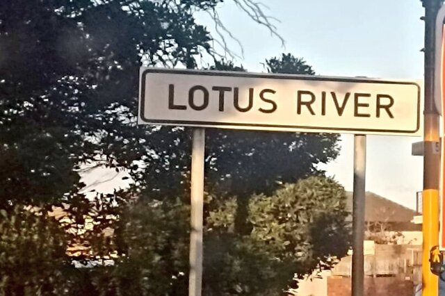 Lotus River