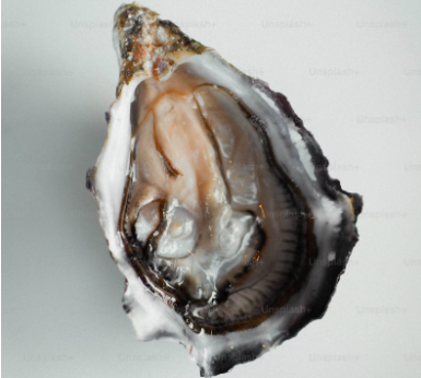 abalone