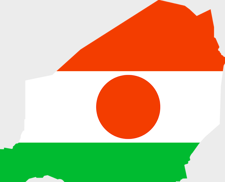 Niger flag