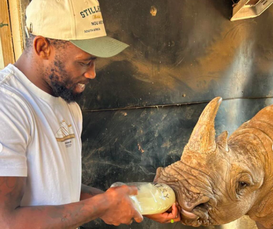 Siya Kolisi and Daisy