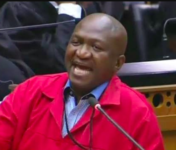 EFF MP Fana Mokoena resigns from Parliament