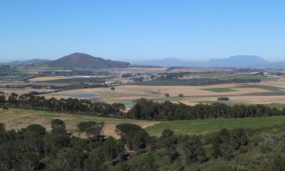 Babylonstoren Cape Winelands