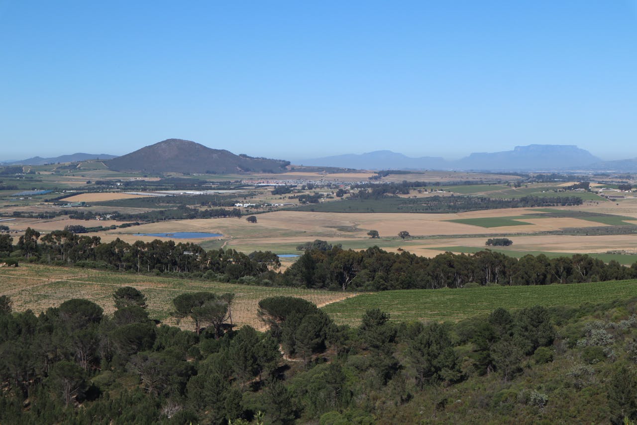 Babylonstoren Cape Winelands