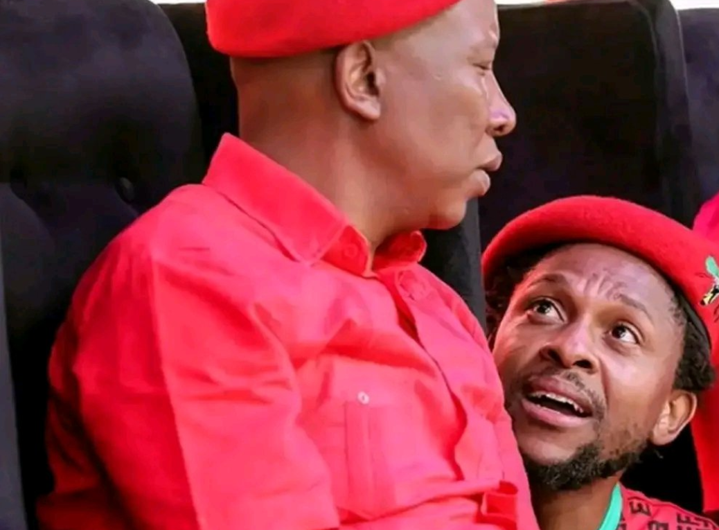 Malema