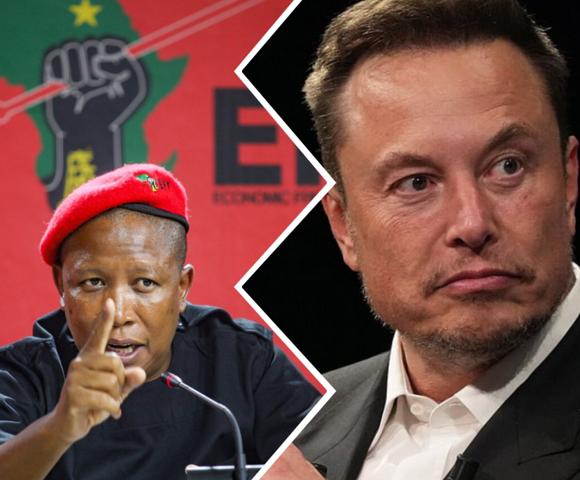 Malema and Musk