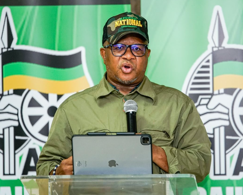 Fikile Mbalula