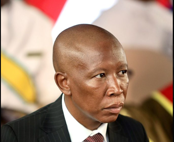 Julius malema