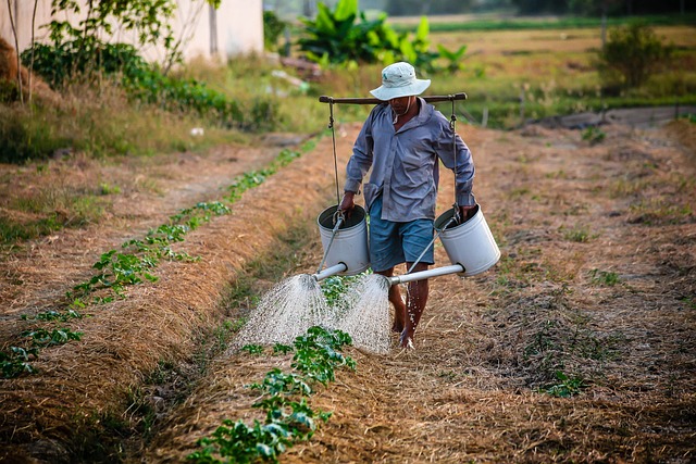 Farmers